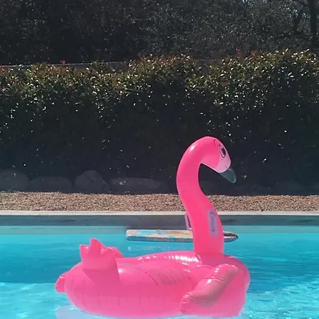 Mini Proche Des Belles Plages