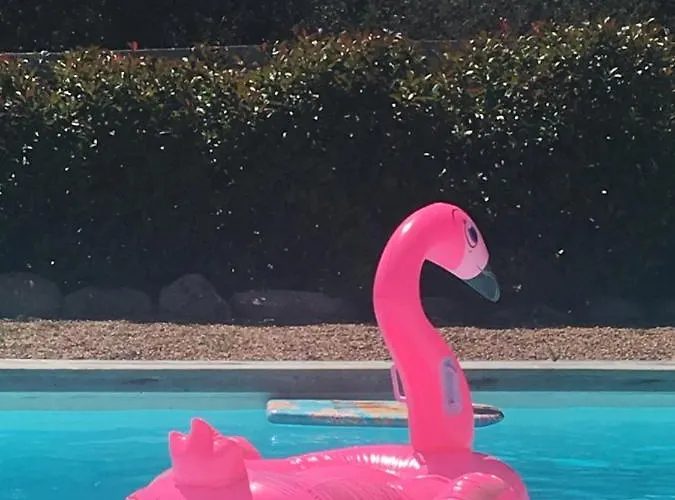 Mini Proche Des Belles Plages