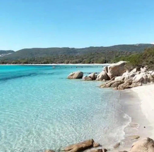 Mini Proche Des Belles Plages 公寓 维琪奥港